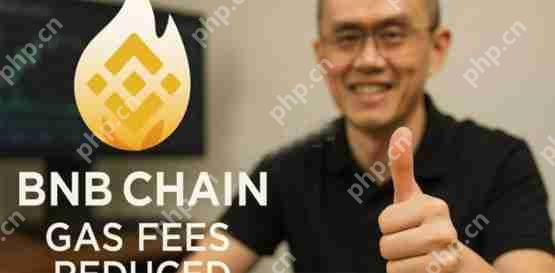 喜讯赵长鹏提议将bnb chaingas费降低3~10倍!引发社群讨论